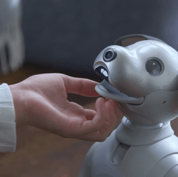 CES 2018: Would You Pay $1,800 for Sony’s Aibo Robodog? post thumbnail image