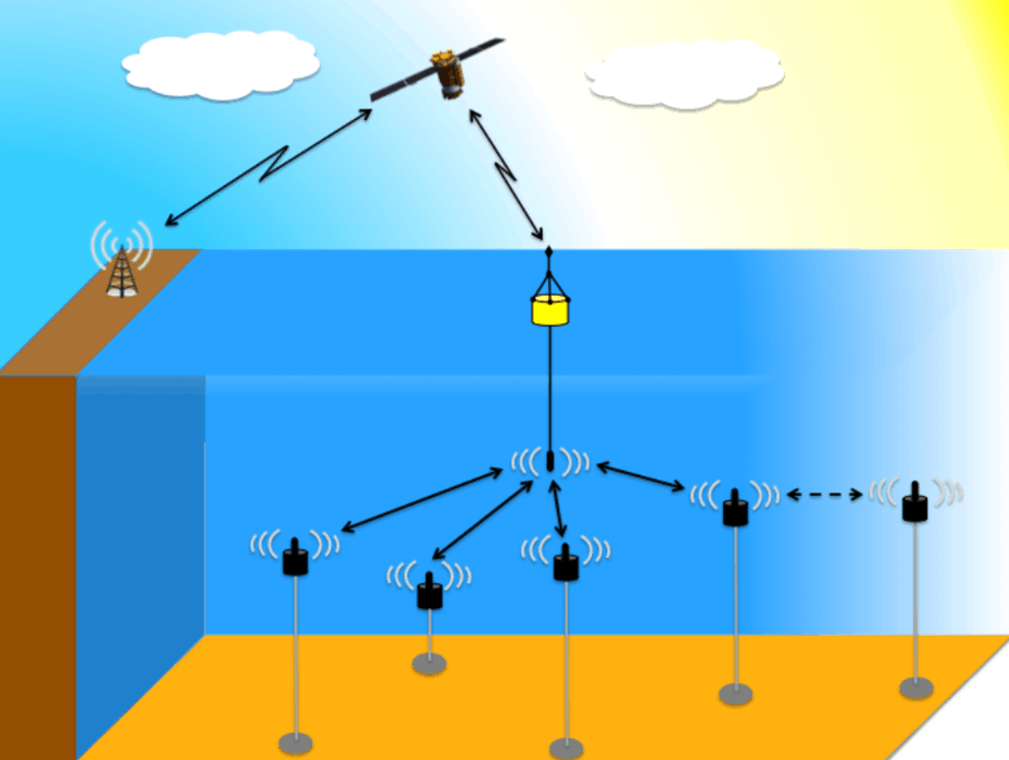 The Internet of Underwater Things - SeaNet