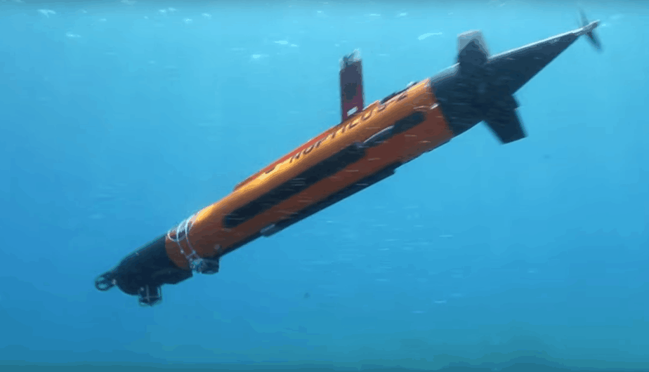 The Building of the Internet of Underwater Things
