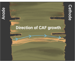 conductive-anodic-filaments-in-pcb.jpg